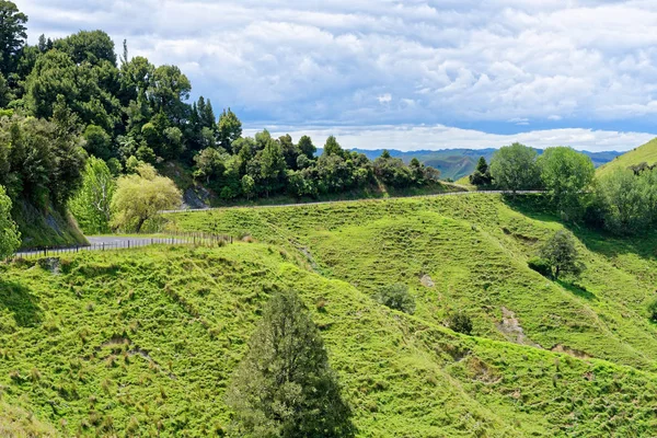 Cenário Rural Longo Estrada Mundo Esquecido Nova Zelândia — Fotografia de Stock