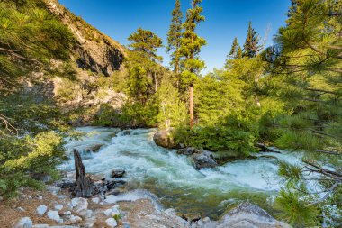 Nehir kükreyen Kings Kanyon Milli Parkı, Kaliforniya'da düşüyor