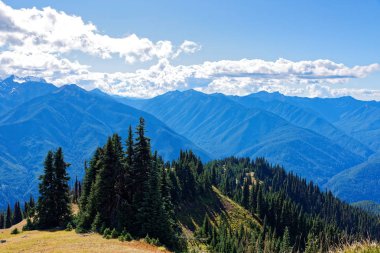 Sahne boyunca kasırga Hill iz, olimpik Milli Parkı
