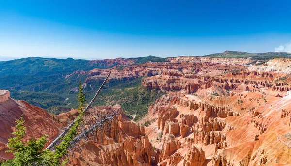 Cedar Breaks Ulusal Anıtı, yaz aylarında Utah bakmaktadır.