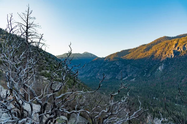 Svítání Údolí Kings Canyon Nedaleko Cedar Grove — Stock fotografie