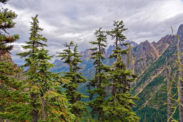 Washington Pass Mimo Národní Park Severní Kaskády — Stock fotografie