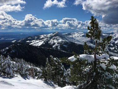 Yellowstone Np karla kaplı Mt Washburn iz