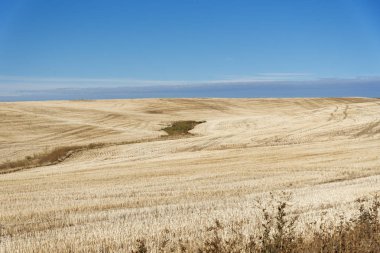 Düşüş sırasında Washington eyaletinde tarım arazileri