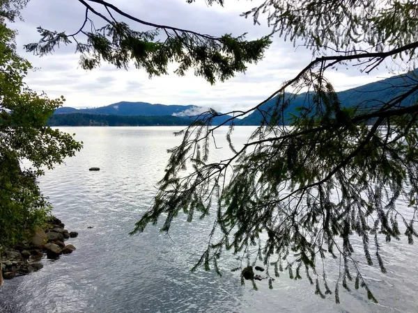 Lac Cushman Parc National Olympique Washington — Photo