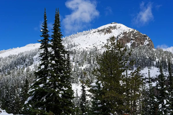 ワイオミング州イエローストーン国立公園の雪に覆われたマウント ウォッシュバーン — ストック写真