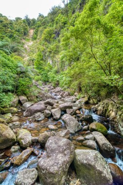 Nehir boyunca Wairere Falls iz