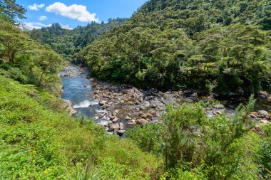 Yeni Zelanda'nın Waikato bölgesinde Karangahake Geçidi