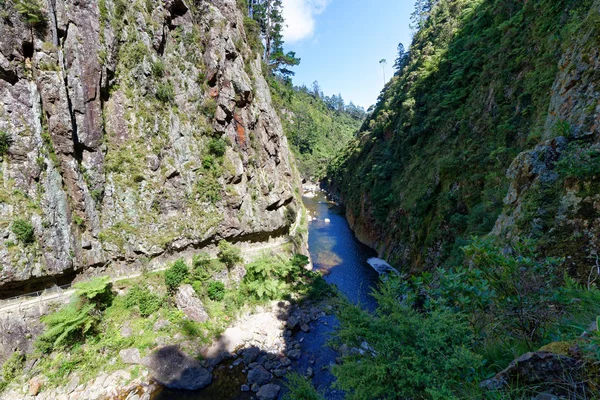 Karangahake kloof in de regio Waikato in Nieuw-Zeeland — Stockfoto