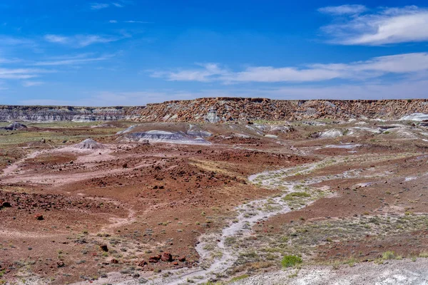 Vista de badlands en Parque Nacional Bosque Petrificado — Foto de Stock