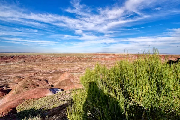 El desierto pintado en el Parque Nacional Bosque Petrificado — Foto de Stock