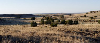 Wupatki Ulusal Anıtı 'ndan geçen otoyol, Arizona