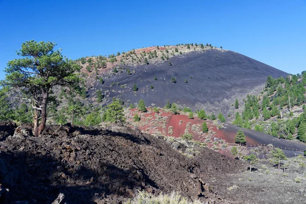 サンセット・クレーター、サンセット・クレーター火山国立記念碑 — ストック写真