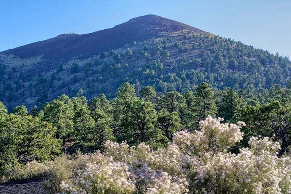 Cratere del tramonto, nel monumento nazionale del vulcano Sunset Crater — Foto Stock