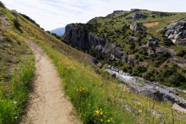 Yeni Zelanda 'nın Güney Adasındaki Mağara Akıntısı Rezervi