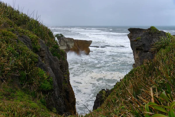 ニュージーランド 西海岸のプナカイキ近くのパンケーキ岩 — ストック写真