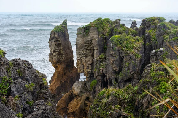 ニュージーランド 西海岸のプナカイキ近くのパンケーキ岩 — ストック写真