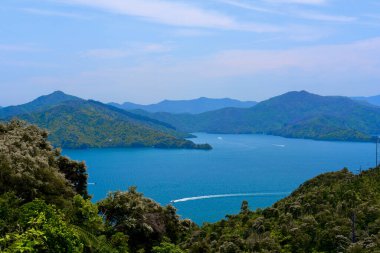 Marlborough Sesleri 'nin panoramik görüntüsü Picton, Yeni Zelanda yakınlarındaki Queen Charlotte Drive' dan.
