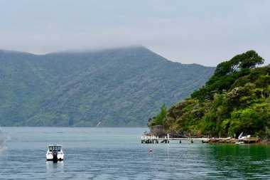 Marlborough Sesleri 'nde sisli bir gün, Güney Adası, Yeni Zelanda