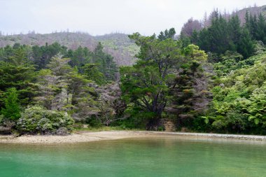 Marlborough Sesleri 'nde sisli bir gün, Güney Adası, Yeni Zelanda