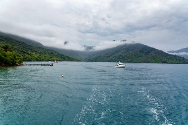 Marlborough Sesleri 'nde sisli bir gün, Güney Adası, Yeni Zelanda
