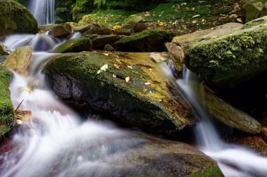 Gemi Koyu Şelalesi Yürüyüşü Kraliçe Charlotte Sound, Yeni Zelanda