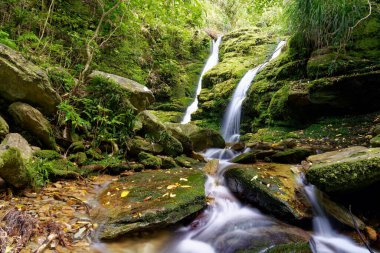 Gemi Koyu Şelalesi Yürüyüşü Kraliçe Charlotte Sound, Yeni Zelanda