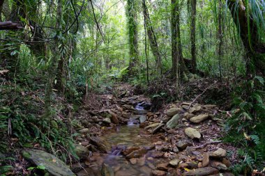 Gemi Koyu Şelalesi Yürüyüşü Kraliçe Charlotte Sound, Yeni Zelanda