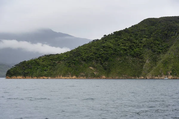 Een Mistige Dag Marlborough Sounds South Island Nieuw Zeeland — Stockfoto