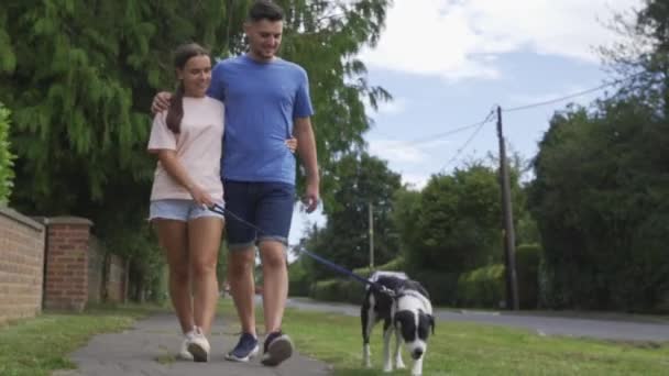 Jovem Casal Caminhando Direção Câmera Com Cão Estimação Longo Rua — Vídeo de Stock