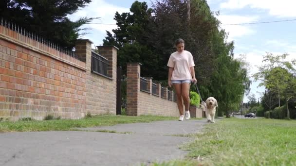 Молодая Женщина Идёт Камере Собакой Какапу Вдоль Пригородной Улицы — стоковое видео