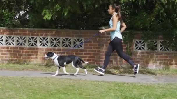 Chica Joven Corriendo Con Perro Mascota Correa Través Marco Calle — Vídeo de stock