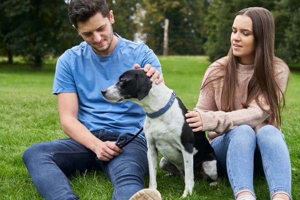 这对年轻夫妇带着宠物狗坐在公园的草地上 — 图库照片