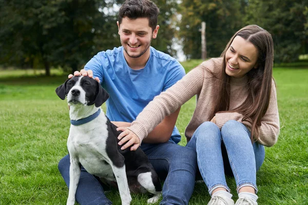 Young Couple Sitting Pet Dog Grass Park — Stock Photo, Image