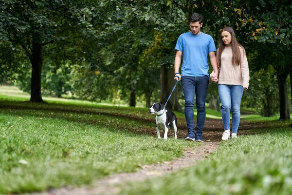 Giovane Coppia Piedi Loro Cane Compagnia Lungo Percorso Nel Parco — Foto Stock