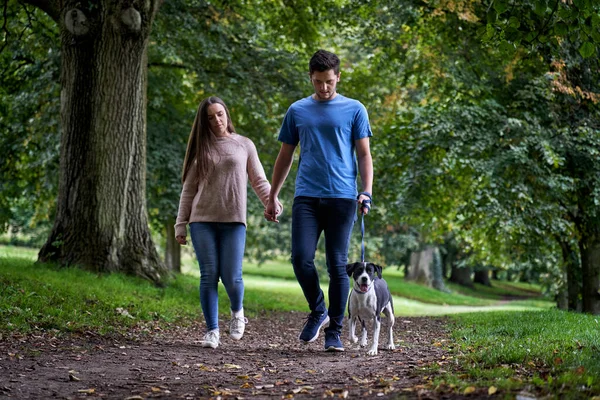 Casal Jovem Andando Seu Cão Estimação Longo Caminho Parque — Fotografia de Stock