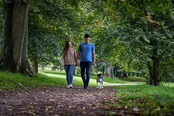年轻夫妇在公园的小径上遛狗 — 图库照片