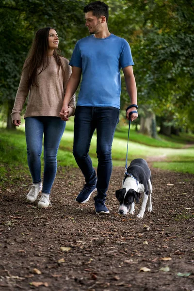 年轻夫妇在公园的小径上遛狗 — 图库照片