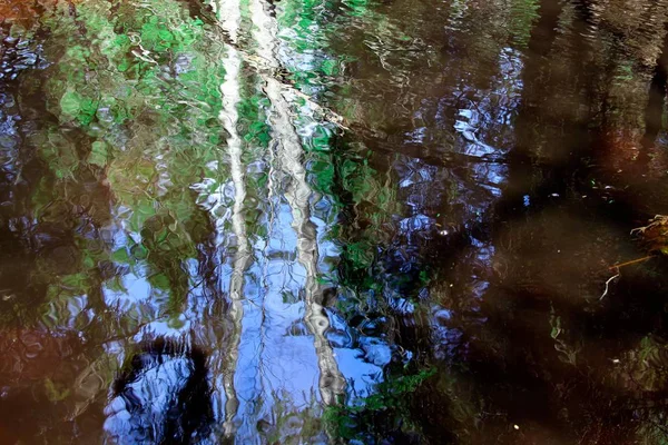 Spiegelungen Einer Birke Einem Kleinen Fluss Der Fluss Fließt Und — Stockfoto