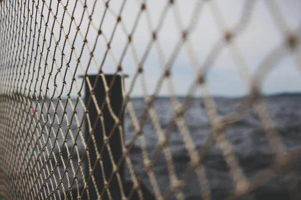 Küçük bir balık göl arka planda net.