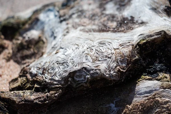 Farklı ve güzel ahşap doku farklı desenleri ile