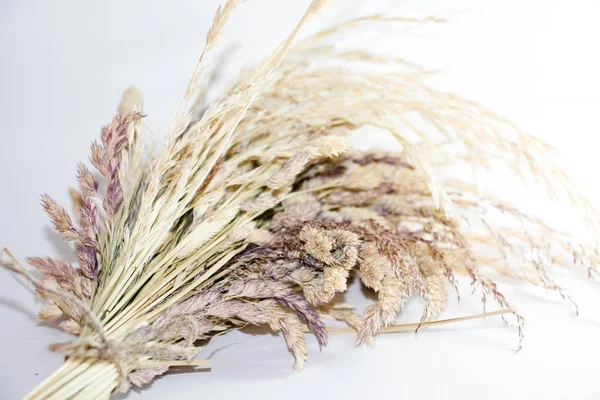 Çayır çimen sulak Jüt iple bağlı.