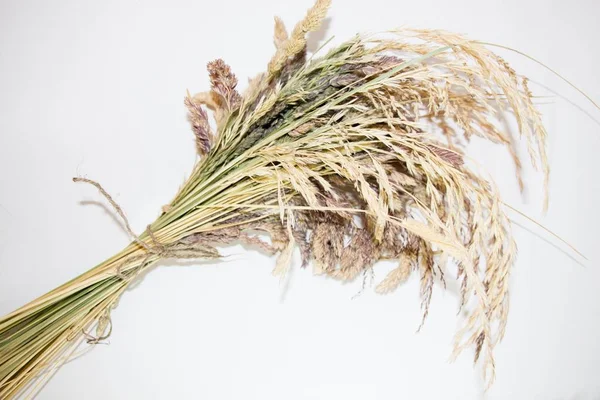 Çayır çimen sulak Jüt iple bağlı.