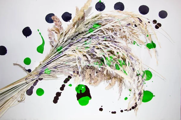 Çayır çimen üzerinden sulak Jüt halat boyu çok renkli bir boya ile bağlı