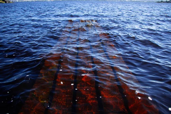 Büyük bir göl temiz su altında batık iskelenin parçası