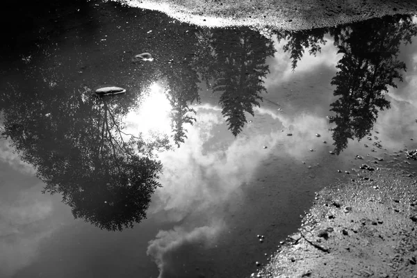 Reflexion Von Wald Sonne Und Wolken Wasser Auf Der Forststraße — Stockfoto