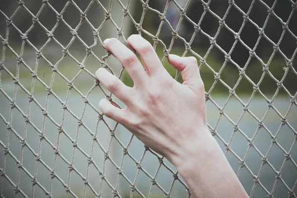 Nazik bir el balıkçılık için net tutar