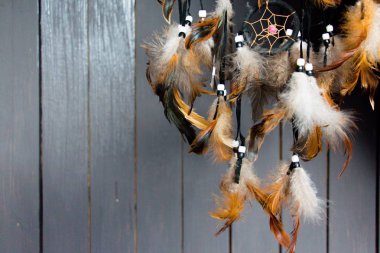 Rüya yakalayıcı havada asılı tüyleri yapılır. Parlak renk güzel tüyleri birbirine bağlı.