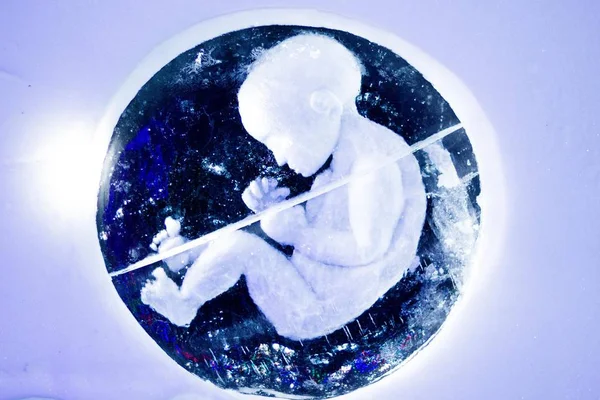 一个小孩的雪像下一层冰冷的冰 这个人影是用雪做的大墙做的 免版税图库图片