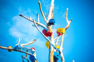 Kuşlar için besleyiciler metalden yapılmış bir ağaca bağlanır. Ağaç mavi ve berrak gökyüzüne karşı, ve kuşlar için evler çeşitli ve parlak renklerde boyalar ile boyanmıştır.